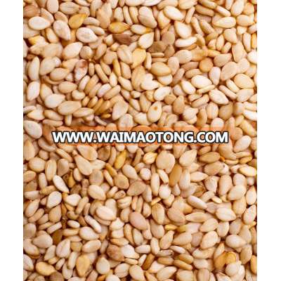 Best Selling Grade A Sesame Seeds For Sale